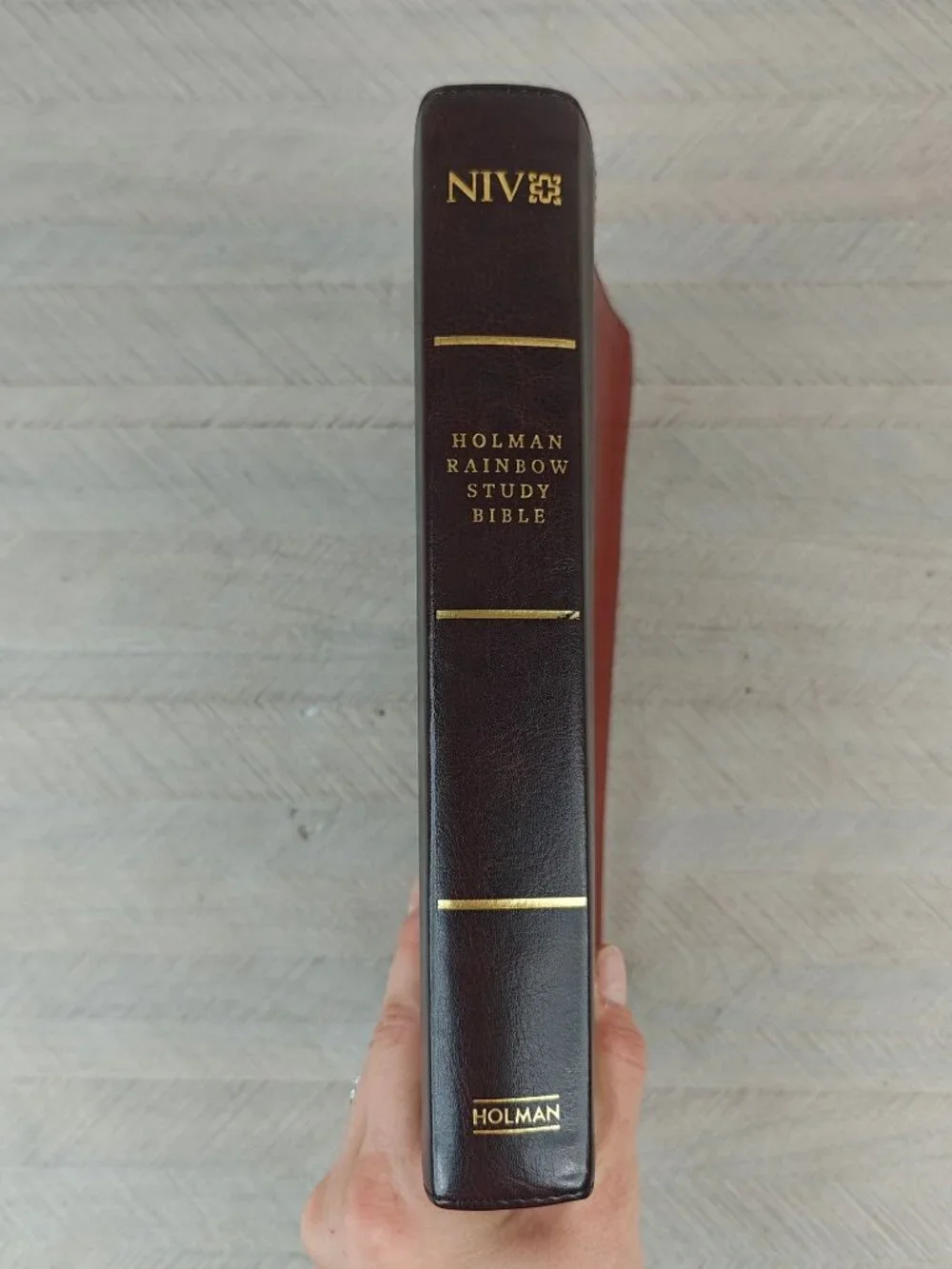 Holman Rainbow Study Bible NIV Edition 2015 Cocoa Terra Cotta LeatherTouch